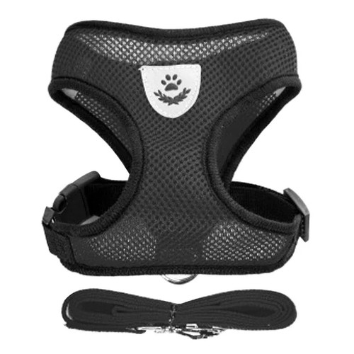 Cat harness vest - cat, lead