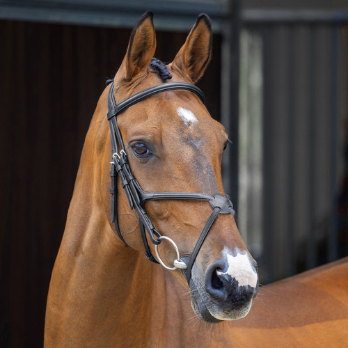Bridle shires velociti - bridle,,