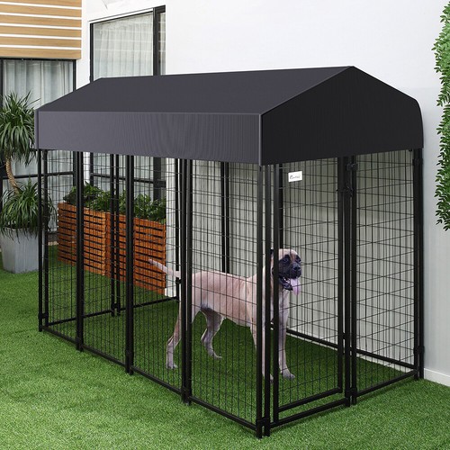 125 127 249cm jumbo pet - pet, dog