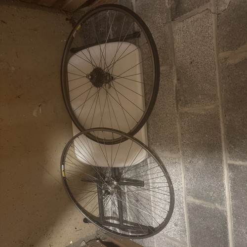 Campagnola omega h38 rim set - rim,