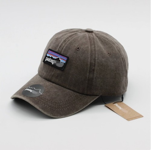 2026 patagonia logo - 2026, p-6