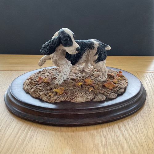 Country artists cocker - cocker, spaniel