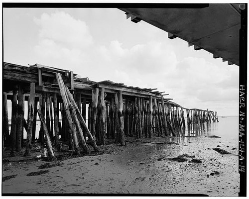 Provincetown 1900s cape cod - provincetown,
