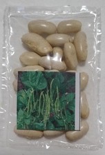 Dwarf French Beans (Kinghorn