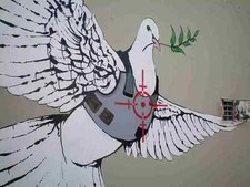 Banksy Dove In Bullet Proof