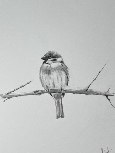 Original signed graphite - signed,