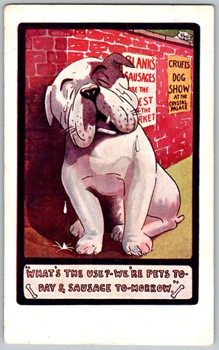 Antique postcard bulldog - antique,