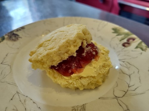 Homemade scones vegan - homemade, x