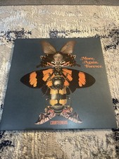 Courteeners More Again Forever