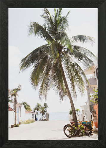 Caribbean street vibes - street,
