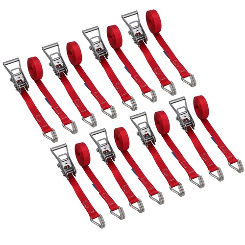 8pk ratchet strap - strap, stainless