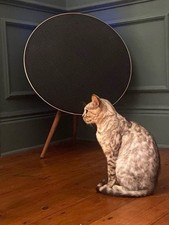 Bang & Olufsen Beoplay A9