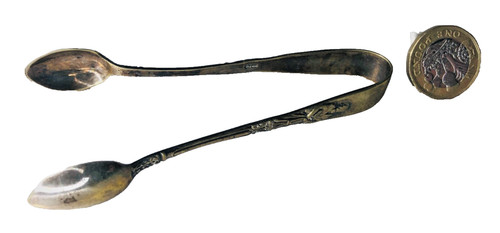Sugar tongs epns nickel - sugar,