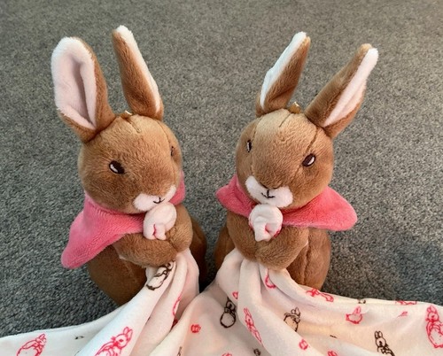 Peter rabbit flopsy - peter,