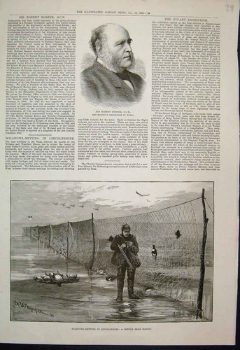 Old antique print 1889 - antique,