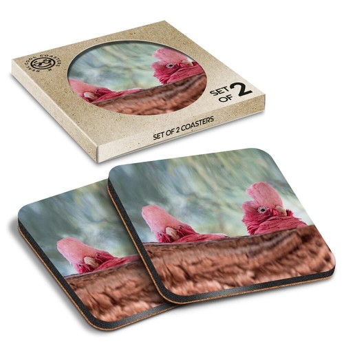 Square mdf coaster galah - mdf, bird