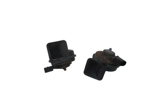 Horn set right and - horn, left
