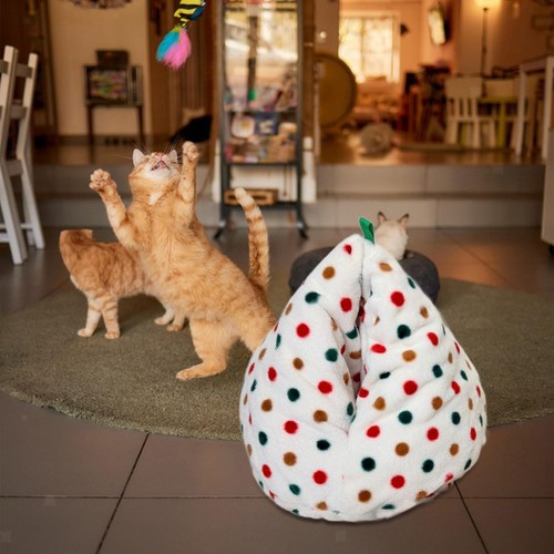 Cat bed kitten - cat, nest