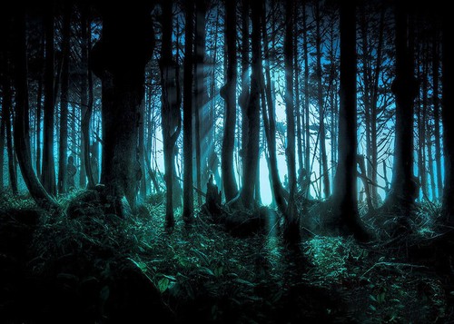 Halloween spooky forest - halloween,