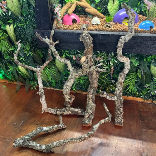 Large cork bark branches - large,