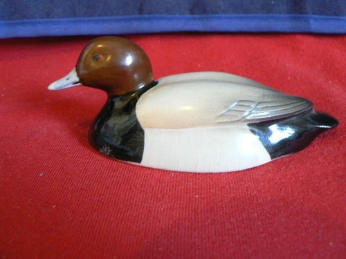 Beswick pochard duck - ,