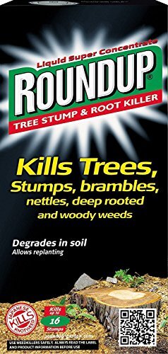 Tree stump killer - tree,