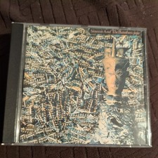 Siouxsie and the Banshees -