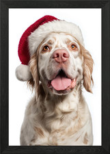 Clumber Spaniel Dog with Santa