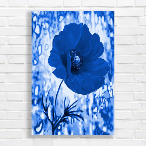 Vibrant red poppy blue - blue, canvas
