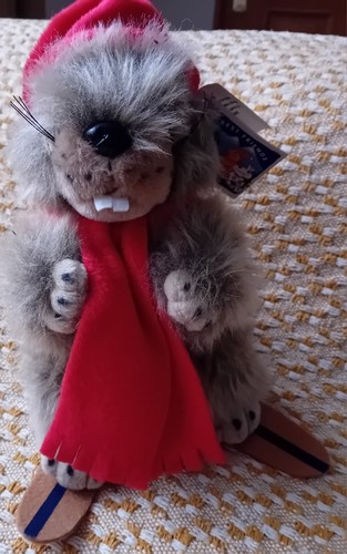 Rare skiing beaver animal - skiing,