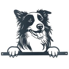 Black Metal Peeking Collie