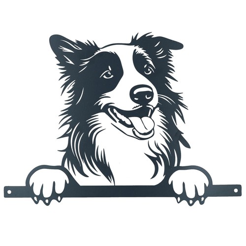 Black metal peeking collie - black,
