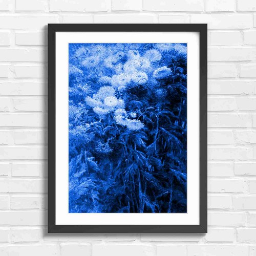 Vibrant multicolor - vibrant,