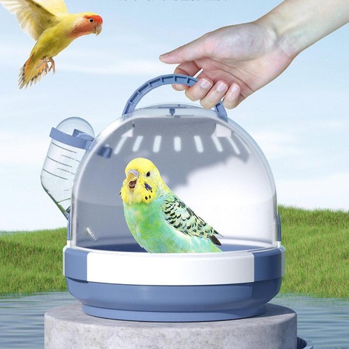 Parrot carrier cage bird - bird,