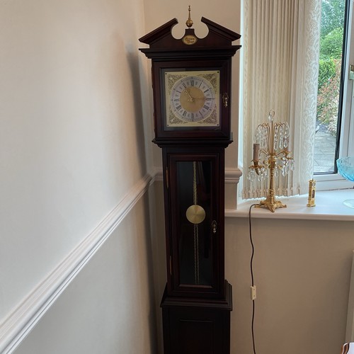 Tempus fugit grandmother clock - grandmother,