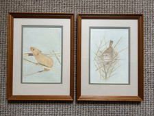 Watercolour Paintings Original