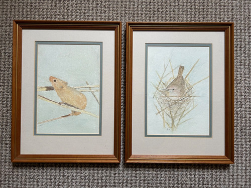 Watercolour paintings original - watercolour,