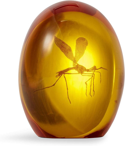 Jurassic park mosquito - park,