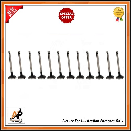 Exhaust valve pcs set - 12,