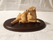 Teviotdale Dogs By Tom Mackie Labrador and Pup  Golden Retriever 2005