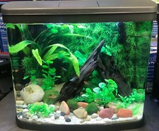 Interpet River Reef LED