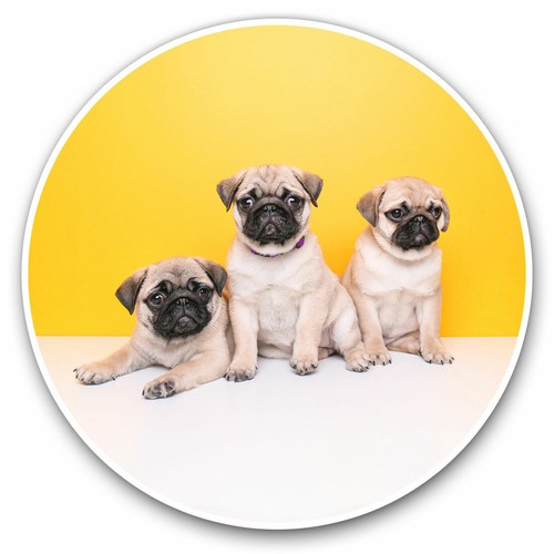 Vinyl stickers 15cm - x,