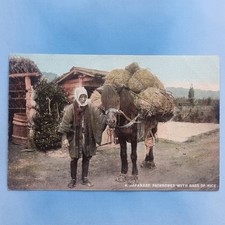 Japan Postcard C1910 A Japanese Farmer With Pack Horse Carrying Rice Asia