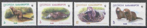 Wwf georgia european mink - -,