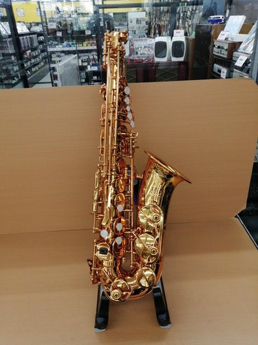 Selmer reference54 alto - reference54,