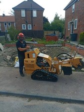  Tree Stump Grinding Service