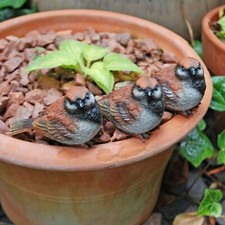 3 Pot Topping Sparrow Bird