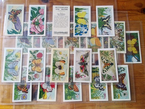Barratt trade cards