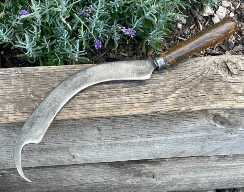 Vintage garden beet - vintage,