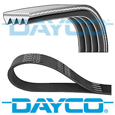 DAYCO V-RIBBED BELT 4 RIBS